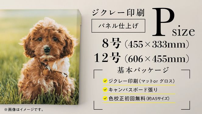 y{哌szIWiLoXiWN[jP8 272183_CY001