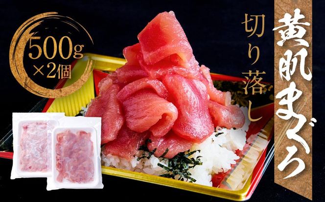 yÉOszVR@܂؂藎1kg (500g×2pbN)@ pbN  É O    󂠂  }O  ֗ hg Hׂ₷ XCX VR Ԑg VN CN i   CN Hi  Ⓚ   222232_AK005