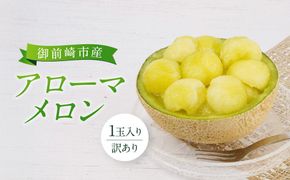 【訳あり】御前崎市産アローマメロン　1玉入り 222232_AQ002