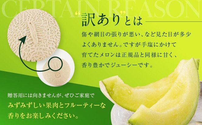 【訳あり】御前崎市産アローマメロン　1玉入り 222232_AQ002