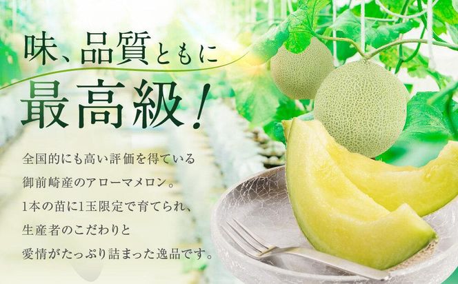 御前崎市産アローマメロン（白）1玉入り 222232_AQ003