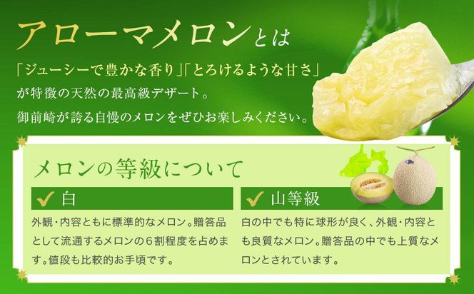 御前崎市産アローマメロン（白）1玉入り 222232_AQ003