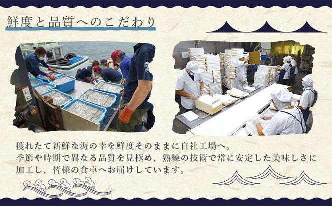 産地直送　しらす6種詰め合わせ　計600g　特製まざりちりめん　釜揚げしらす　天日干ししらす AR005 222232_AR005