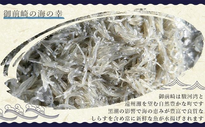 産地直送　しらすたっぷり1.5kg　釜揚げしらす・天日干ししらす・生しらす　小分け　セット AR006 222232_AR006