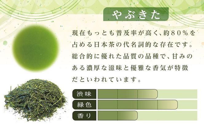 天皇杯受賞茶園 やままのお茶　特蒸し一番茶仕立　やぶきた茶 222232_AS011