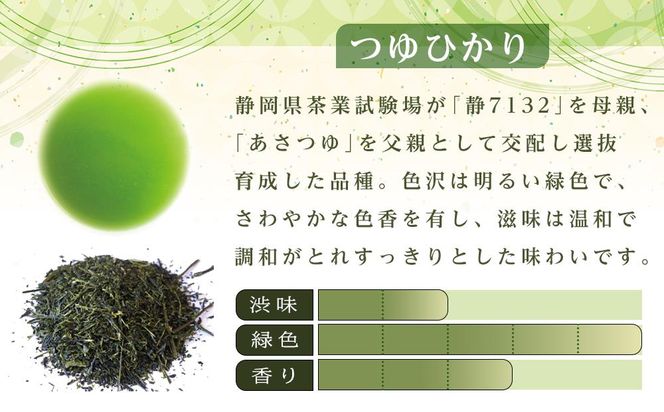 天皇杯受賞茶園 やままのお茶　特蒸し一番茶仕立 　つゆひかり茶 222232_AS012