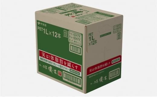 【定期便6ヶ月】お～いお茶　濃い茶1L×12本　［おーいお茶 ペットボトル 1リットル ケース 箱 伊藤園 静岡］ 222232_AT016