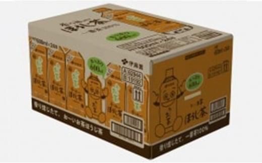 【定期便3ヶ月】お～いお茶ほうじ茶600ml×24本　［おーいお茶 ペットボトル ケース 箱 伊藤園 静岡］ 222232_AT036
