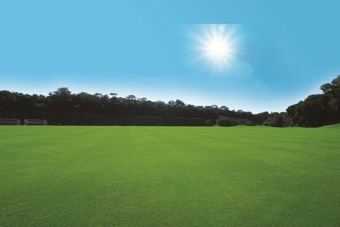 静岡カントリー浜岡コース【天然芝グランドＮＥＸＴＡフィールド１日利用券】【サッカー】 222232_AU013