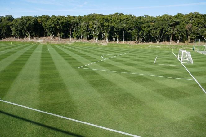 静岡カントリー浜岡コース【天然芝グランドＮＥＸＴＡフィールド１日利用券】【サッカー】 222232_AU013