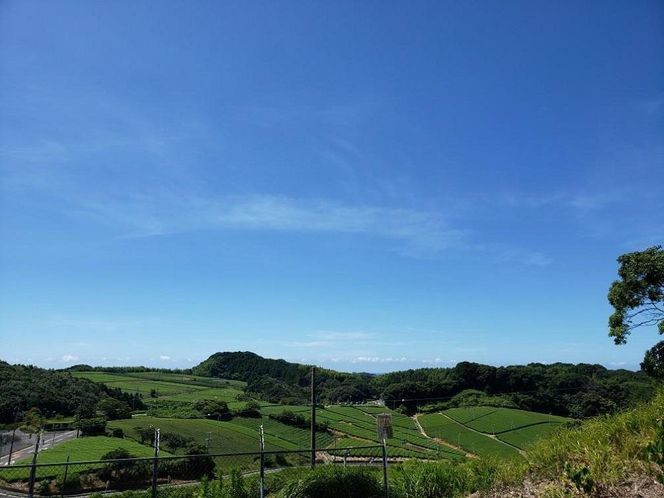 農林水産大臣賞受賞工場謹製　高級深むし茶3種詰合せ 222232_AW002