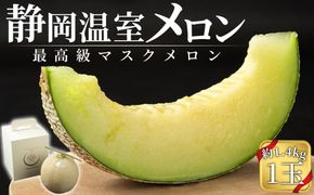 静岡温室メロン  M玉1玉約1.4kg 最高級のマスクメロン 山下メロン園 高級果実店に仕入るほどの自信のあるメロン ギフト メロン めろん 箱詰め フルーツ 果物  産地直送 甘いメロン 糖度  青肉 高級 百貨店 222232_AY001