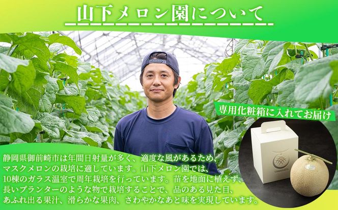 静岡温室メロン  M玉1玉約1.4kg 最高級のマスクメロン 山下メロン園 高級果実店に仕入るほどの自信のあるメロン ギフト メロン めろん 箱詰め フルーツ 果物  産地直送 甘いメロン 糖度  青肉 高級 百貨店 222232_AY001