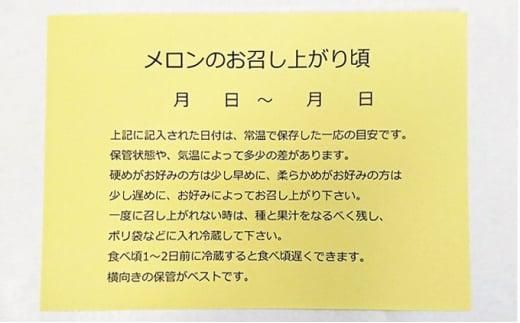 静岡温室メロン  M玉約1.4kg×2玉 最高級のマスクメロン 山下メロン園 高級果実店に仕入るほどの自信のあるメロン ギフト メロン めろん 箱詰め フルーツ 果物  産地直送 甘いメロン 糖度  青肉 高級 百貨店 222232_AY002