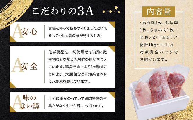 遠州地鶏一黒シャモ　真空パックでお届け　総計約1kg（モモ・ムネ・ササミ）　地鶏 軍鶏 しゃも 冷凍 送料無料 もも むね 生肉 美味しい ヘルシー お取り寄せ 贅沢 記念日 お中元 お歳暮 自宅用 家庭用 国産 222232_BB006