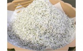 【年内発送】御前崎産　特選釜揚げしらす70g×15袋 222232_BC009