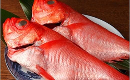 御前崎産地物金目鯛3匹セット(2人～3人前） 222232_BG002