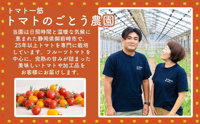 高糖度の完熟トマトを使用 510トマトビーフカレー（箱付き・パウチ包装タイプ）4パック  訳あり 人にも環境にも優しい エコ こだわり レトルト カレー  シチュー おいしい 人気 リピート多数 非常食 保存食 長期保存 防災食 備蓄食 災害用品 災害用保存食 防災グッズ 防災用品 222232_BR002