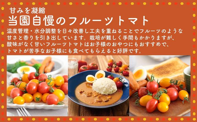 高糖度の完熟トマトを使用 510トマトビーフカレー（箱付き・パウチ包装タイプ）4パック  訳あり 人にも環境にも優しい エコ こだわり レトルト カレー  シチュー おいしい 人気 リピート多数 非常食 保存食 長期保存 防災食 備蓄食 災害用品 災害用保存食 防災グッズ 防災用品 222232_BR002