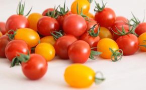 【先行受付 2025年12月発送】トマトが苦手な子でも食べれちゃう！高糖度 完熟フルーツトマトとミニトマトの食べくらべセット　1.2kg こだわりの減農薬  糖度8～13度 リピーター多数 大容量 コスパ 新鮮  人にも地球にも優しいトマト 222232_BR003