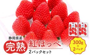 先行受付【静岡県産いちご】完熟紅ほっぺ2パックセット（300g×2パック）【2027年1月下旬～発送予定】 222232_CF001