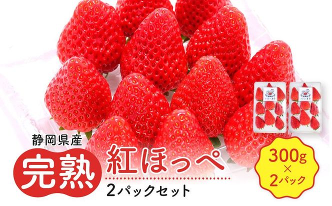 先行受付【静岡県産いちご】完熟紅ほっぺ2パックセット（300g×2パック）【2027年1月下旬～発送予定】 222232_CF001