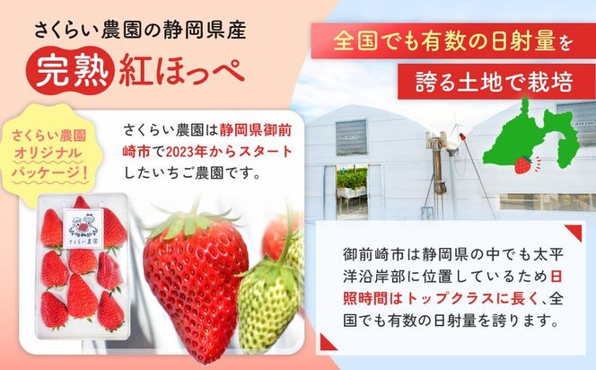 先行受付【静岡県産いちご】完熟紅ほっぺ2パックセット（300g×2パック）【2027年1月下旬～発送予定】 222232_CF001