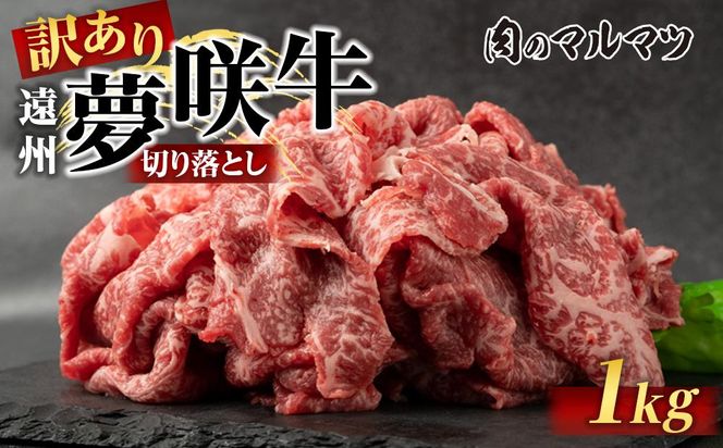 yÉOszy󂠂@ʌzB狍@؂藎Ƃ 1000gi200×5pbNj  É@nlCII}}c̃XCX@a@ 222232_CG025