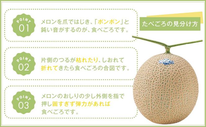 等級「山」アローマメロン 1.4kg以上 1個 静岡が世界に誇る最