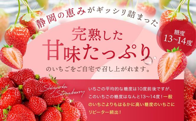 【2026年度 先行予約】 農家直送！静岡いちご　DX　糖度13～14度　1100g 程度（270～280g×4パック）甘くて地元大人気！やみつきリピーター多数　御前崎産　数量限定 222232_CR003