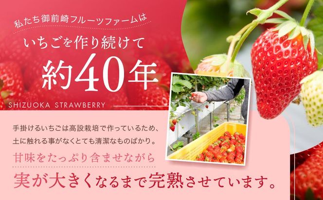 【2026年度 先行予約】 農家直送！静岡いちご　DX　糖度13～14度　1100g 程度（270～280g×4パック）甘くて地元大人気！やみつきリピーター多数　御前崎産　数量限定 222232_CR003