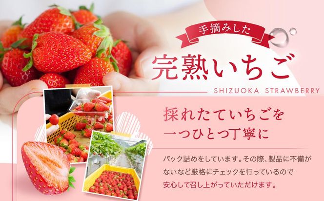 【2026年度 先行予約】 農家直送！静岡いちご　DX　糖度13～14度　1100g 程度（270～280g×4パック）甘くて地元大人気！やみつきリピーター多数　御前崎産　数量限定 222232_CR003