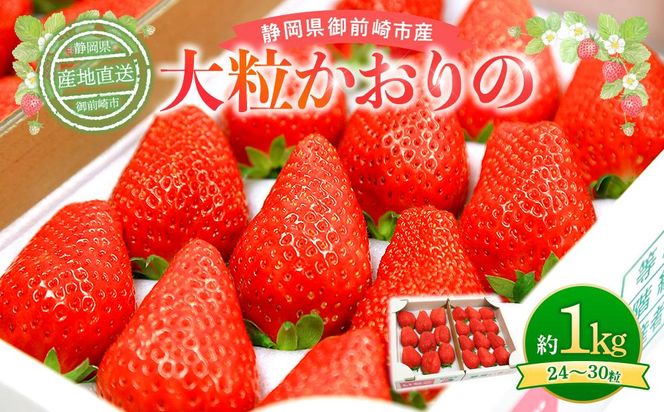 yÉOszsty2026N2{ȍ~\zúv嗱@Zbg 1kg@_ƒI@ʌ 222232_CW003