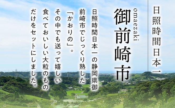 先行受付【2026年2月中旬以降発送予定】「かおりの」大粒　満足セット 約1kg　農家直送！　数量限定 222232_CW003