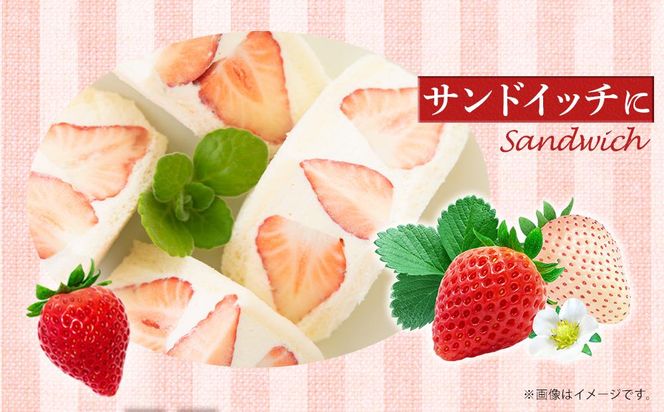 先行受付【2026年2月中旬以降発送予定】「かおりの」大粒　満足セット 約1kg　農家直送！　数量限定 222232_CW003