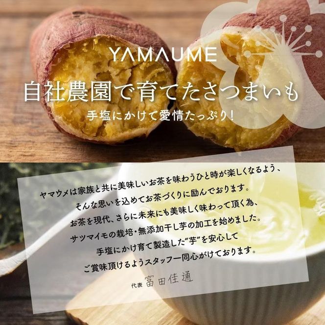 お芋のバスクチーズケーキ　5号（約540g） 222232_CY003