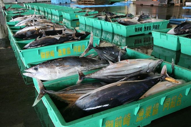 【御前崎市】JTBふるさと旅行券（紙券）90,000円分 222232_JDS01