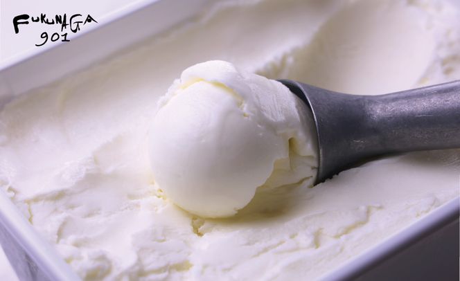 【FUKUNAGA901】バルクアイス ミルク(たっぷり2L入り)［ 京都 駅ビル 大人気カフェ 大容量 アイス ミルク 人気 おすすめ アイスクリーム スイーツ お菓子 洋菓子 ファミリーパック ご自宅用 ギフト プレゼント お取り寄せ 通販 送料無料 ふるさと納税 ］ 261009_B-EX11