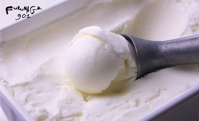 【FUKUNAGA901】バルクアイス ヨーグルト(たっぷり2L入り)［ 京都 駅ビル 大人気カフェ 大容量 アイス ヨーグルト 人気 おすすめ アイスクリーム スイーツ お菓子 洋菓子 ファミリーパック ご自宅用 ギフト プレゼント お取り寄せ 通販 送料無料 ふるさと納税 ］ 261009_B-EX10