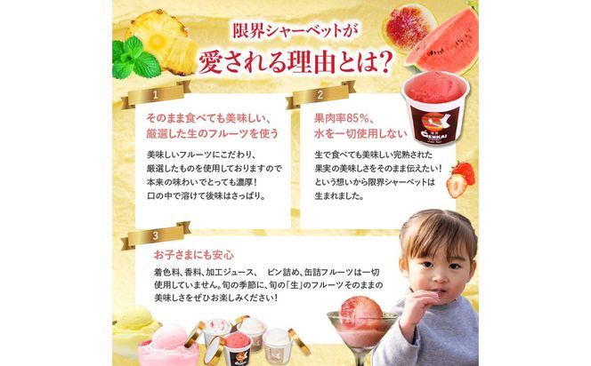 【J06005】限界シャーベット 8個セット