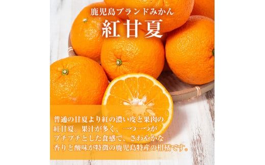 ＜先行予約受付中！2025年2月より順次発送予定＞数量限定！鹿児島県産紅甘夏みかん(約10kg・28玉～32玉)国産 果物 フルーツ【鹿児島いずみ農業協同組合】a-13-43