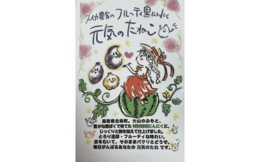 【定期便 全3回】スイカ農家のフル～ティ黒ニンニク 元気のたねこ ジャンボにんにく 鳥取県産「鳥取県特別栽培農産物」認証の自社生産ホワイト六片とジャンボにんにくを使用 ※着日指定不可 ※2026年7月中旬～2027年2月下旬頃に順次発送予定 313726_BE007