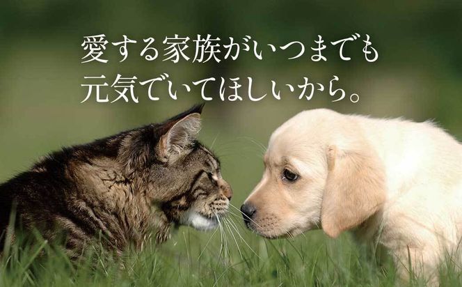 【鹿児島県大隅産】千歳鰻　うなぎの頭のペットフード　個包装　1袋5個入り 464686_CH209