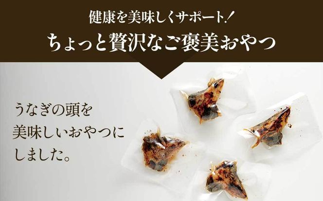 【鹿児島県大隅産】千歳鰻　うなぎの頭のペットフード　個包装　1袋5個入り 464686_CH209