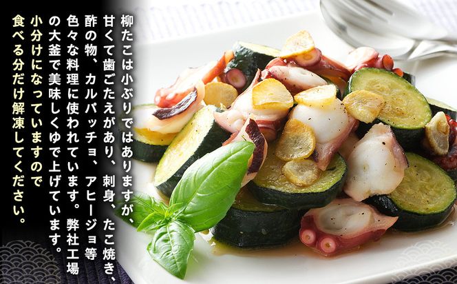 知床羅臼産切り落としボイル柳たこ カット足・頭込（2～5個）約1kg 016942_AH281