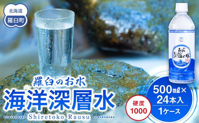 ykCPzm[C̐ dx1000 500ml×24{ Cm[w kC m P 炤 ERY VR ~l }OlVE Y  ~ d  Y x  016942_AK039
