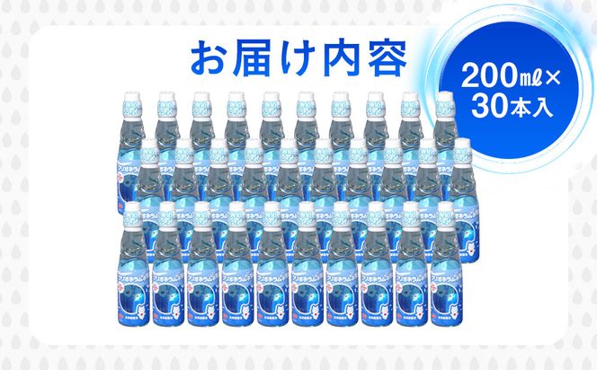 クリオネラムネ 深層水 世界自然遺産 北の海の妖精 流氷の天使 キャラクター 北海道 知床 羅臼 炭酸 炭酸飲料 瓶 塩 ジュース 清涼飲料水 生産者 支援 応 016942_AK044