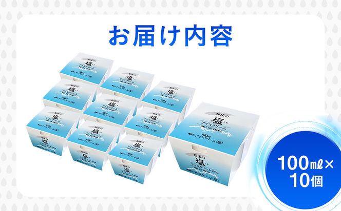 知床の塩アイスクリーム 10個 知床 しれとこ 羅臼 らうす 北海道 世界自然遺産 送料無料 人気 海洋深層水 塩 スイーツ スウィーツ クリスマス バニラ お菓子 家族 アイス 生産者 支援 応 016942_AK046