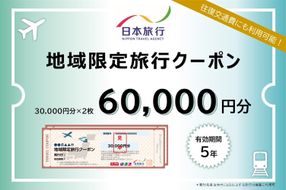 京都府京都市 日本旅行 地域限定旅行クーポン60,000円分(ホテル、旅館、宿泊)［ 京都 旅行 クーポン ホテル 旅館 宿泊 観光 グルメ 人気 おすすめ ふるさと納税 ］ 261009_A-TL003