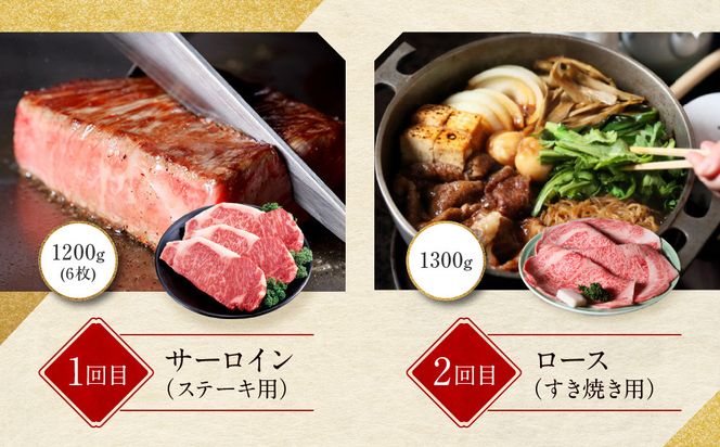＜定期便６回＞【京都モリタ屋】京都肉食べ比べ(1)［ 明治2年創業 京都初 牛肉専門店 有名店 高品質 和牛 切り落とし 人気 おすすめ グルメ お肉 牛肉 ブランド牛 京都肉 お取り寄せ 通販 送料無料 ふるさと納税 ］   261009_A-AK020